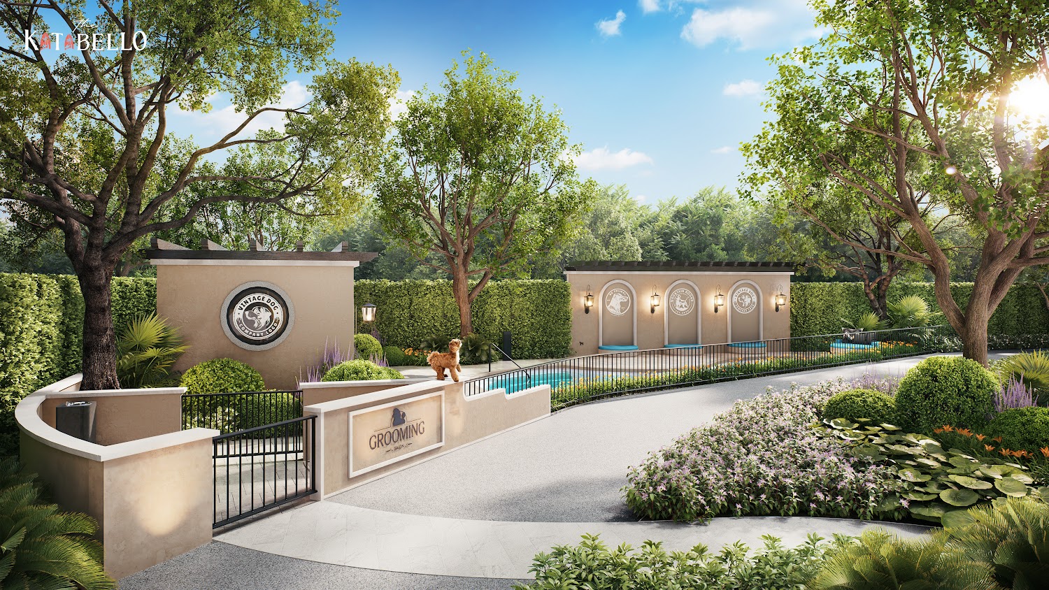 The Katabello Kata — 10 Pet Pool 2.jpg