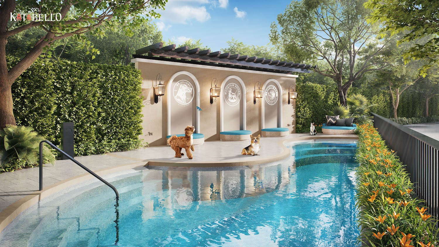 The Katabello Kata — 11 Pet Pool 3.jpg